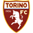 Logo TORINO