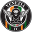 Logo VENEZIA
